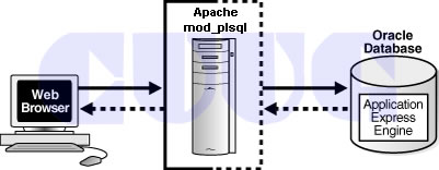 CUUG-Oracle PL/SQL课程