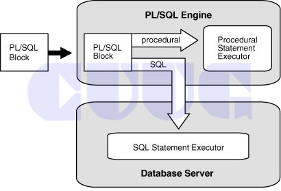 CUUG-Oracle PL/SQL课程