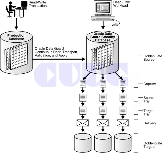 CUUG-Oracle Goldengate课程